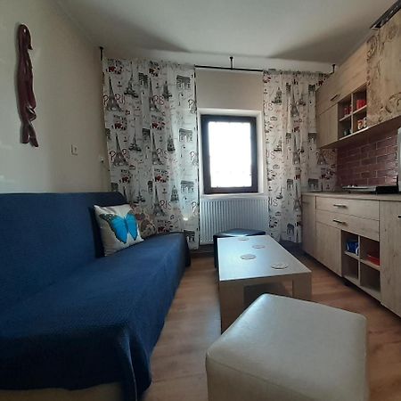 Apartament Cristina Cu Doua Dormitoare & Balcon & Parcare Proprie Онешть Екстер'єр фото